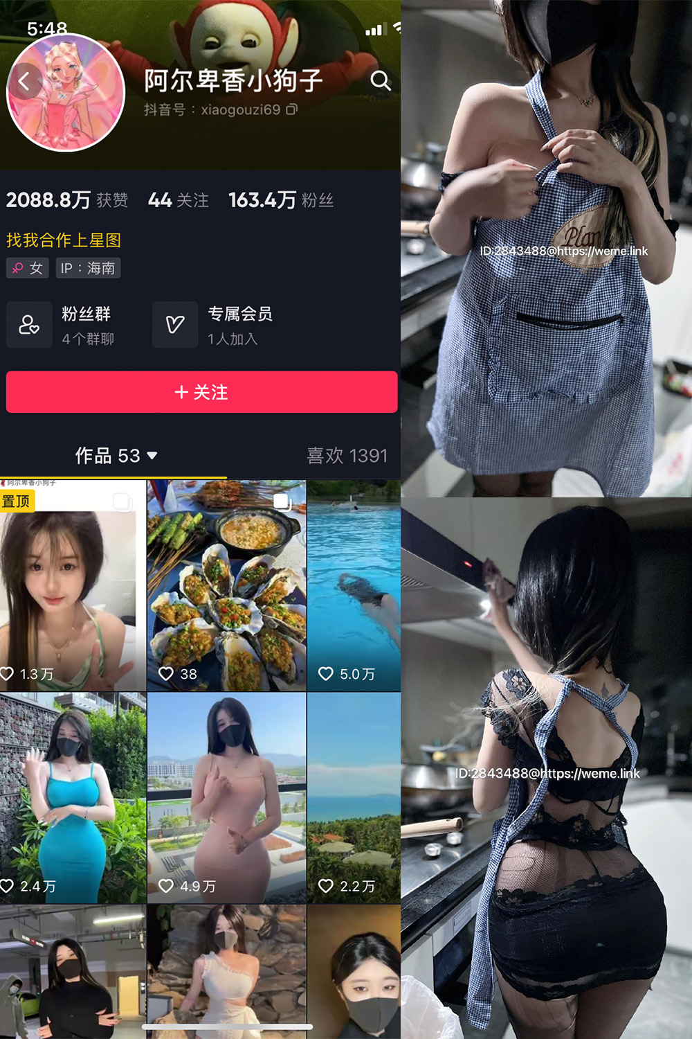 抖音 阿尔卑香小狗子 微密圈 NO.009期 【37P】