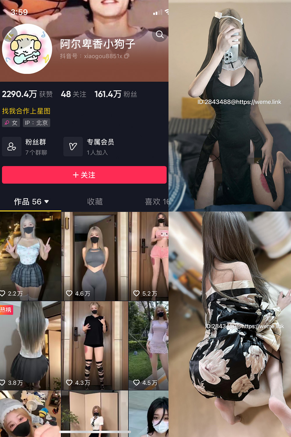 抖音 阿尔卑香小狗子 微密圈 NO.014期 【54P2V】