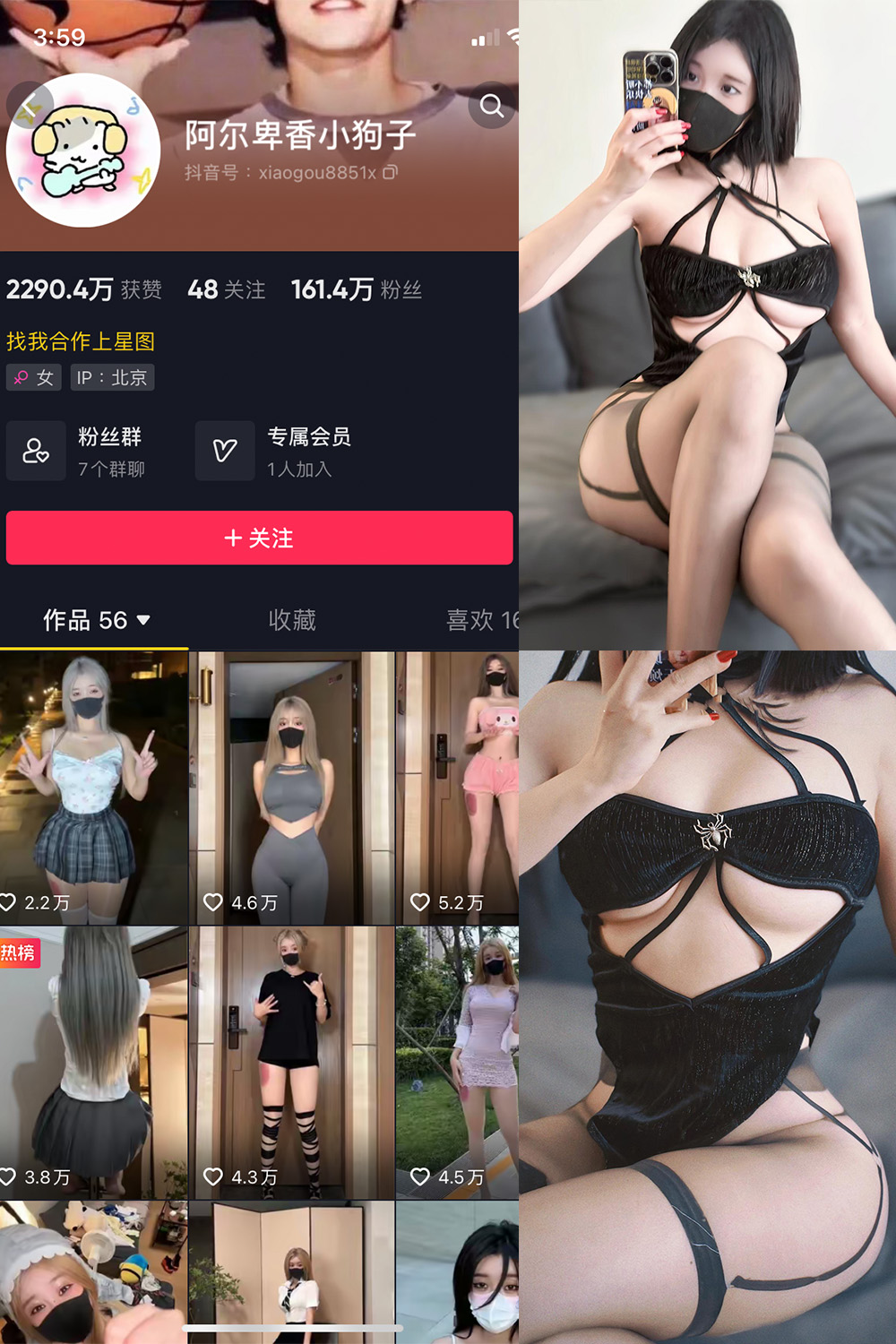 抖音 阿尔卑香小狗子 微密圈 NO.019期 【14P1V】