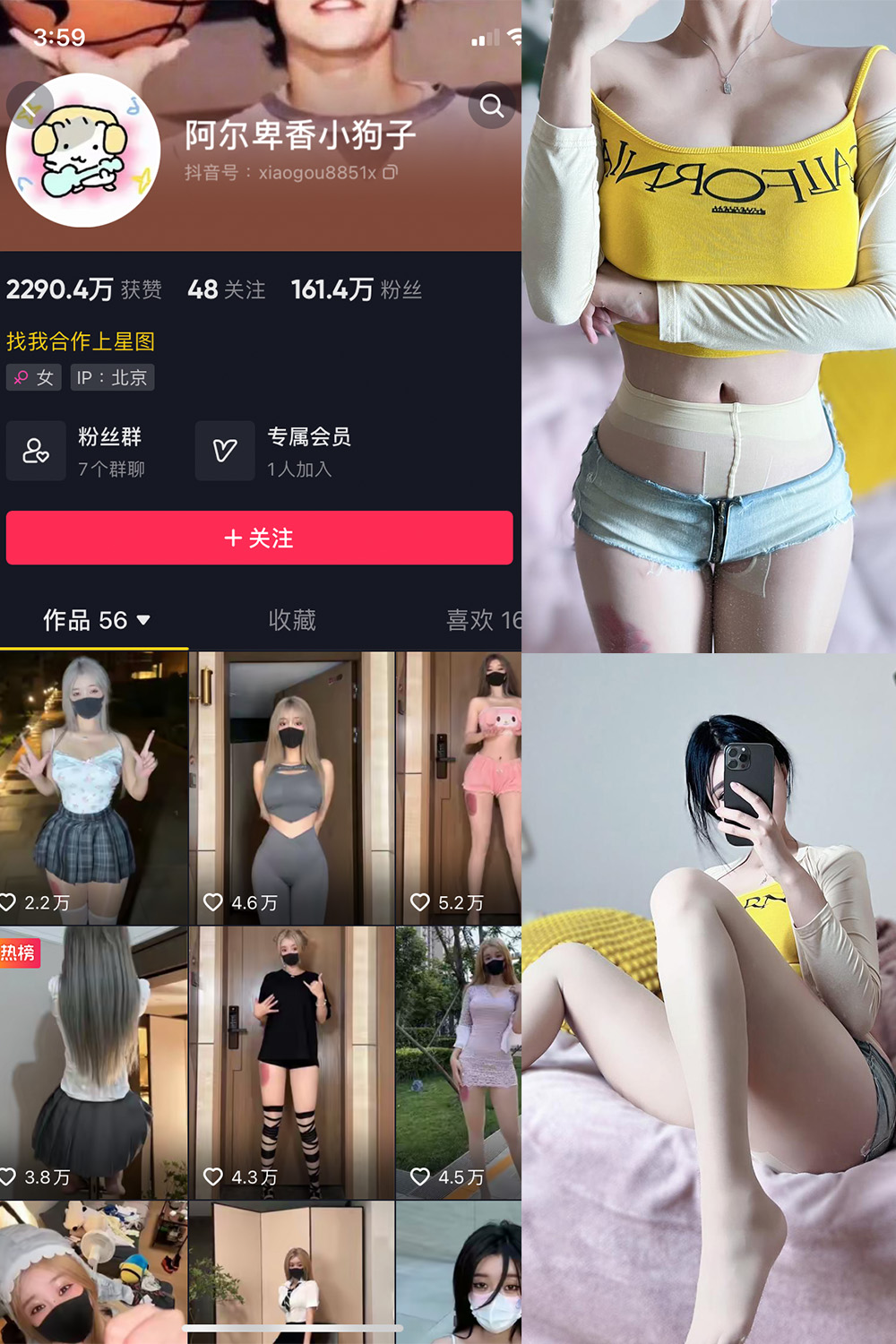 抖音 阿尔卑香小狗子 微密圈 NO.032期 【22P】